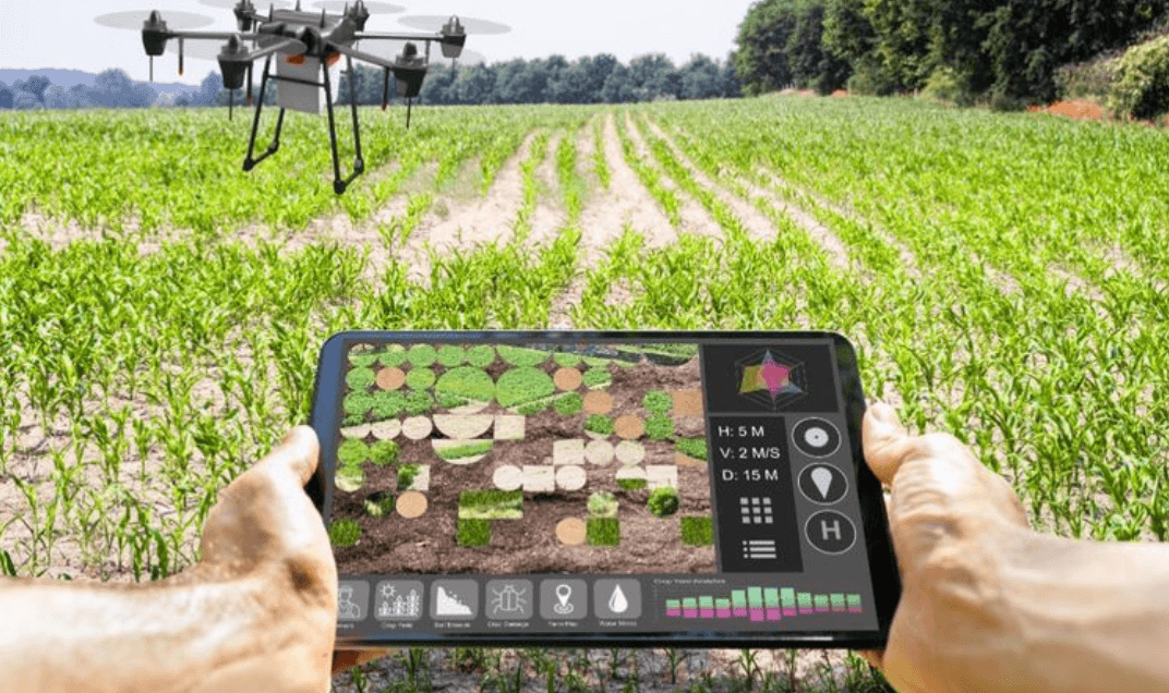 Agro Inteligente: Apoio ao pequeno e médio agricultor e ao agronegócio sustentável