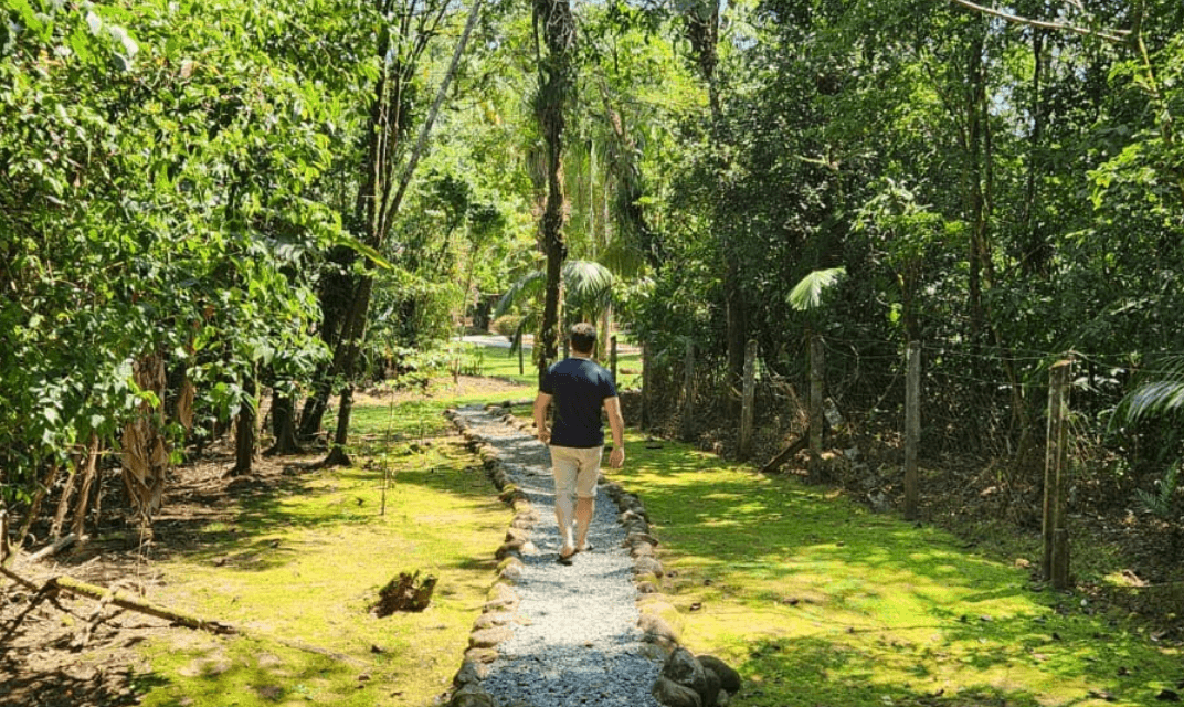 Meio Ambiente e Desenvolvimento: Como crescer sem destruir o futuro