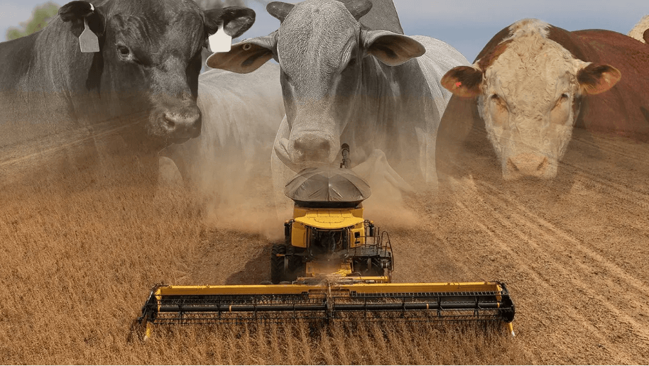 Agronegócio no Paraná: a força econômica que move o estado