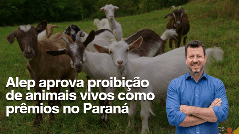 Bem-estar animal: uma pauta que reflete o respeito à vida no Paraná